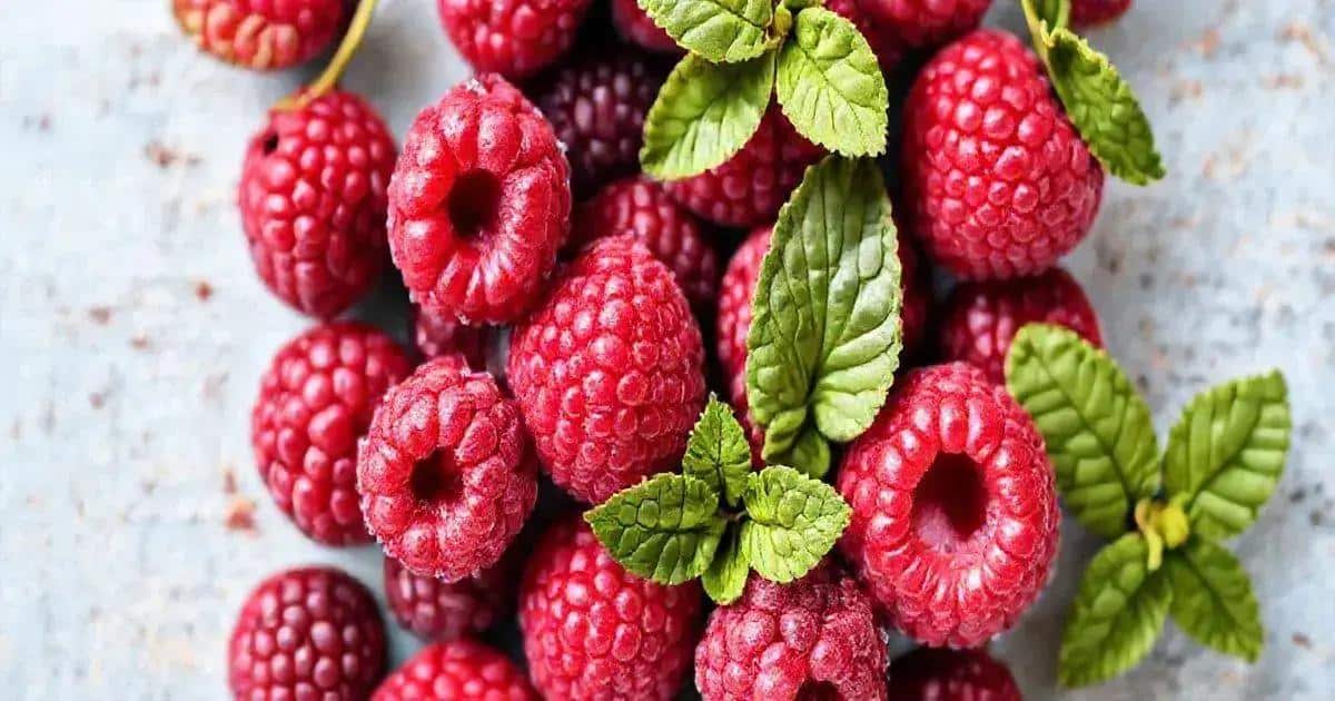 The Health Benefits of Raspberry in Your Drink